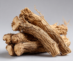 Angelica Root
