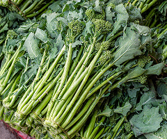 Broccoli Raab