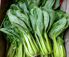 PAKCHOI GREEN STEM