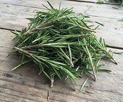 ROSEMARY