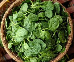 Spinach Baby