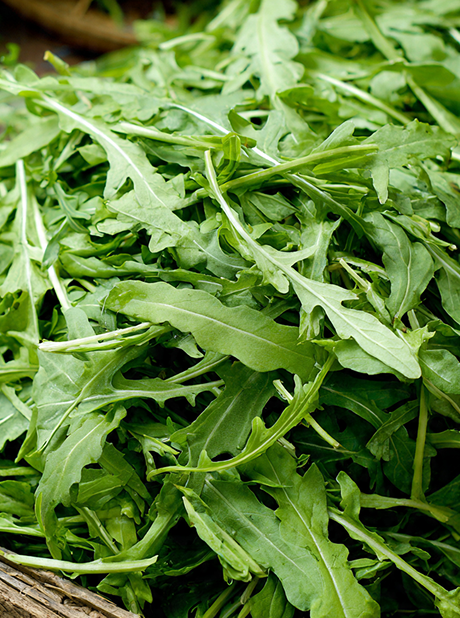 ARUGULA WILD