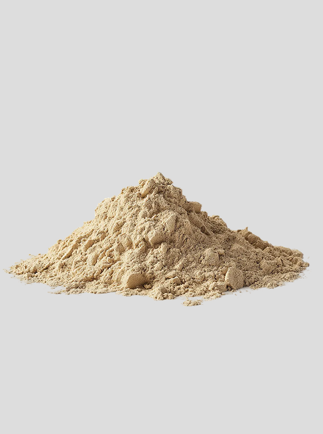 Astragalus