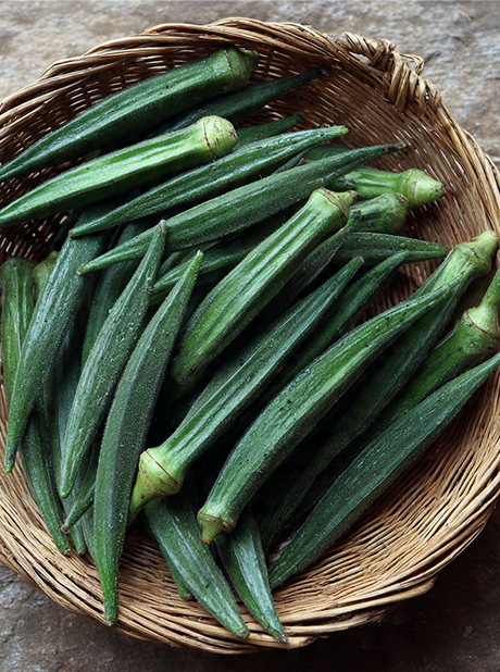 MG SAKET F1