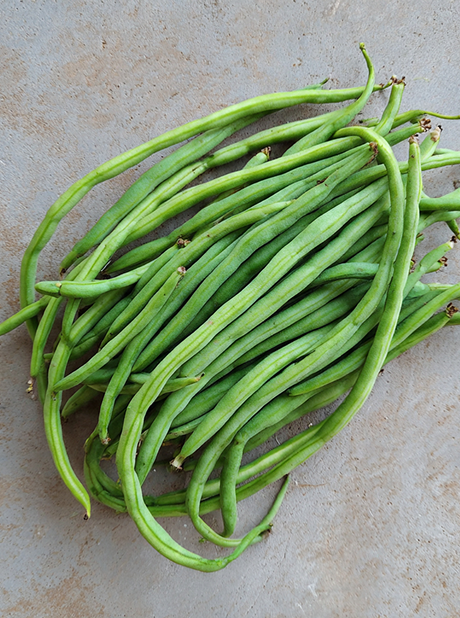MG KRITI COWPEAS