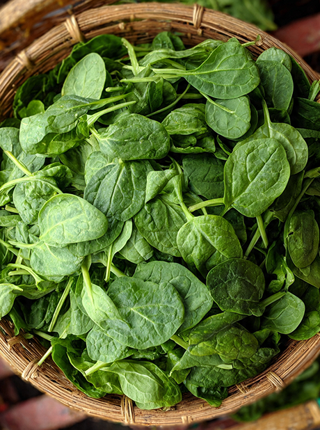 Spinach Baby