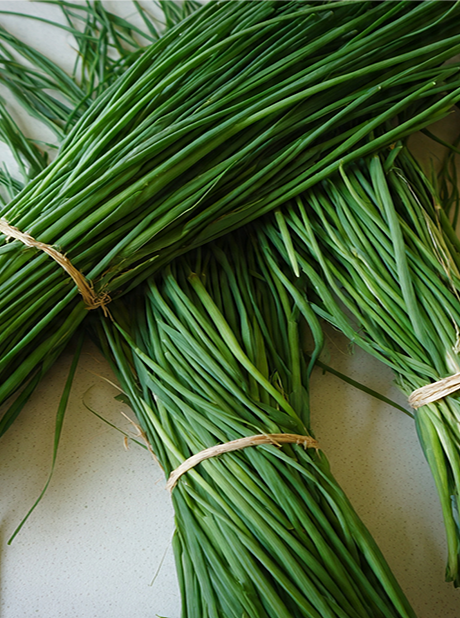 Chives