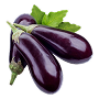 Seeds type