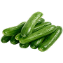 Seeds type
