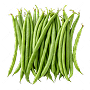 Seeds type