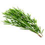 Seeds type