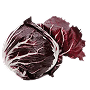 Seeds type