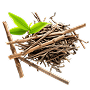 fertilizers type
